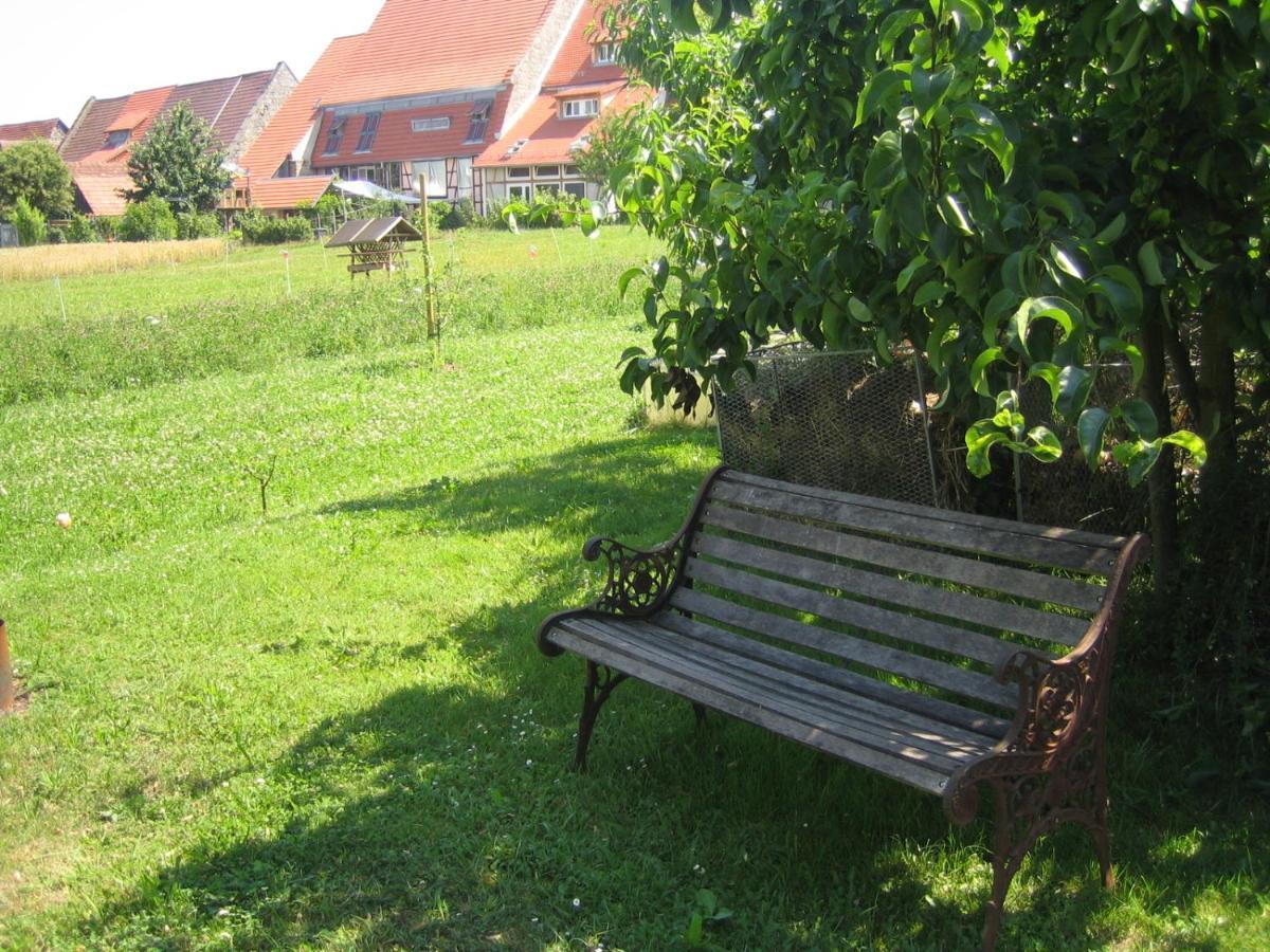 Apartment & Zimmer Familie Trescher Tübingen Exteriör bild